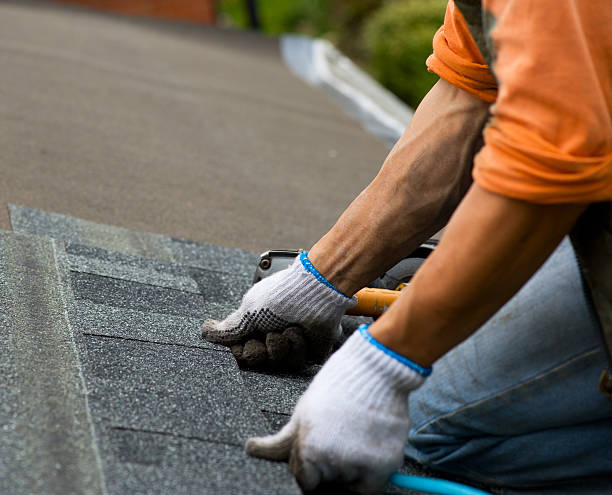 Best Shingle Roofing Installation  in Nome, AK